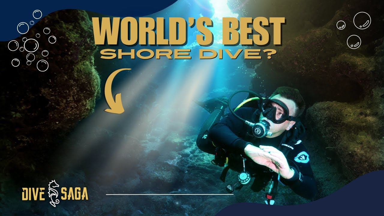 This is rumored to be the world’s best shore dive