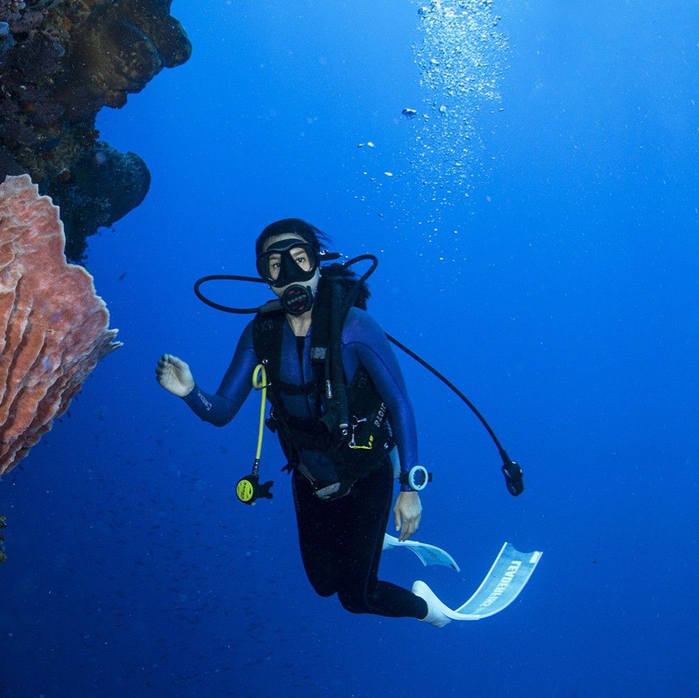 En Derine Dalan En İyi Dalgıç Değildir En derine dalan en iyi dalgıç değildir. Öyle olsa attığınız