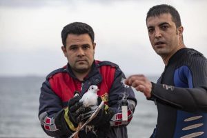 Mustafa ERCAN/MERSİN, (DHA)-MERSİN’de dalgıç itfaiyeciler, ayağına misina dolanan martıyı kurtardı.
