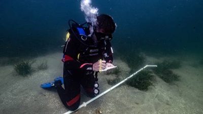 Çevre, Şehircilik ve İklim Değişikliği Bakanlığı Tabiat Varlıklarını Koruma Genel