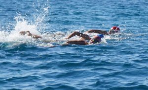 Gençlik ve Spor Bakanlığı, Balıkesir Valiliği, Balıkesir Büyükşehir Belediyesi, Ayvalık