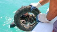 Muğla’nın Bodrum ilçesinde deniz dibi temizliği yapıldı. Bodrum’da dalgıçlar deniz dibi temizliğinde 344 kilogram atık çıkardı. “Denize en çok mavi yakışır” sloganıyla düzenlenen Bodrum’daki etkinlik, Güvercinlik Mahallesi’nde gerçekleştirildi. … Kaynak: Deniz Haber – https://www.denizhaber.net/bodrumda-dalgiclar-deniz-dibi-temizligi-yapti-haber-102737.htm