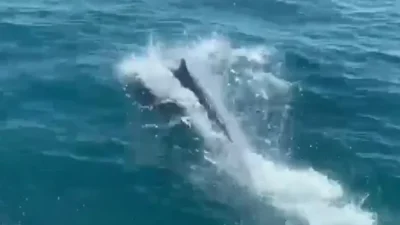 İl Emniyet Müdürlüğü Deniz Liman Şubesi ekipleri, Akdeniz’de rutin devriyeye