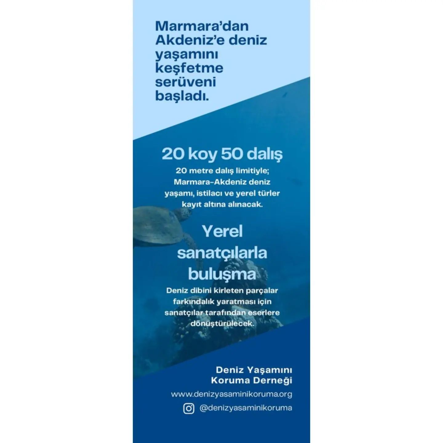 Bu gönderiyi Instagram'da gör Deniz Yaşamını Koruma Derneği (@denizyasaminikoruma)'in paylaştığı