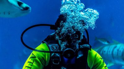 Beneath the surface, diving offers wonder, peace, and a chance