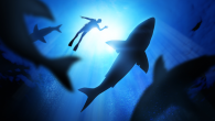 “Why Sharks Matter: A Deep Dive with the World’s Most Misunderstood Predator” digs into why we need sharks and what we can do to protect them. By Alexandra Gillespie Dr. David Shiffman fell in love with sharks at his local […]