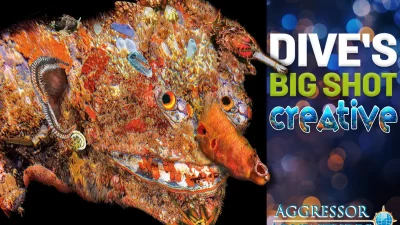 We asked entrants to our Big Shot Creative underwater photography
