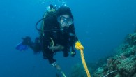 Herkese merhabalar… Bugün sizler için dalışta karşılacağımız, bazı bölgelerde de sadece bu tip dalışlar yapılan Akıntı dalışları diğer adıyla drift dalışı yada drift diving hakkında bazı bilgi ve düşüncelerimi sizlerle paylaşmaya çalışacağım. Dalıcıların, her ne seviyede olursa olsunlar bazen akıntı […]