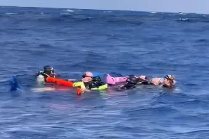 The drifting divers as filmed by Camila and Ryan Storchi