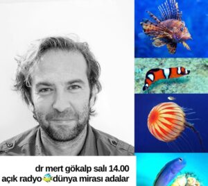 Bu gönderiyi Instagram'da gör Dünya Mirası Adalar (@dunyamirasiadalar)'in paylaştığı bir