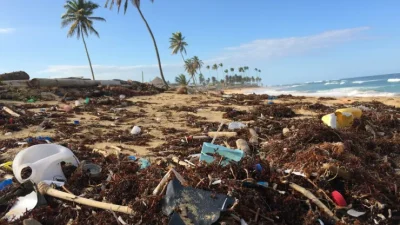 Okyanus Bilinci · Plastik Kirliliği Plastik Kirliliği Koalisyonu, ABD’deki ilköğretim