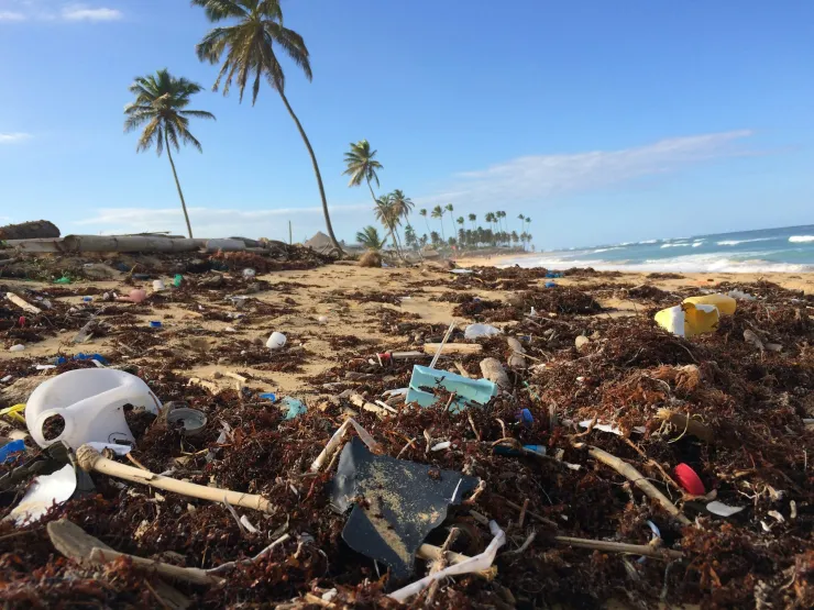 Okyanus Bilinci · Plastik Kirliliği Plastik Kirliliği Koalisyonu, ABD’deki ilköğretim