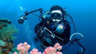 Sualtı Fotoğrafı çekmenin olmazsa olmazı balıkadamın yüzerliğini kontrol etmesidir dersem yanlış olmaz. Öyle ki yüzerliğini kontrol edemeyen balıkadam fotoğrafçılığın bütün kurallarını, çekim tekniklerini sular seller gibi ezberlemiş olsa gene de uygulama imkanı bulamaz… Sualtı fotoğrafı çekmek için sualtına indirilen makina […]