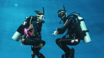 Köpekbalıklarının tamamını canavarlar olarak yazıyorlar. Belli ki köpekbalıklarının bazılarının tamamen