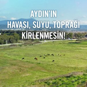 Aydın’ın Köşk ilçesine bağlı Mezeköy ve Uzundere mahallelerinde, tarım alanlarında