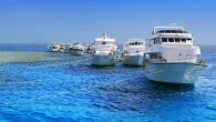 Photo: Shutterstock Egyptian liveaboard operators have called for a grace period before new regulations concerning crew qualifications are enforced. The request comes after a number of liveaboards were cancelled or held in port due to a clampdown by authorities in […]