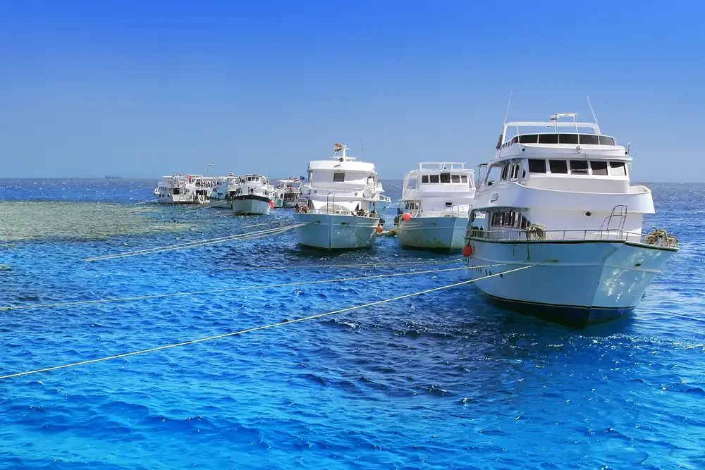 Photo: Shutterstock Egyptian liveaboard operators have called for a grace