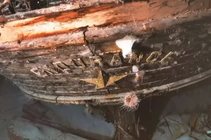 The true colour image of Ernest Shackleton’s Endurance (Photo: Falklands