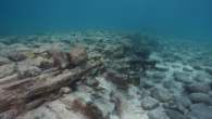 “The wooden structure that is now exposed will degrade much more quickly.” By Tiffany Duong Looters disturbed an 1842 shipwreck in the Florida Keys, causing irreparable damage. A three-masted, square-rigged ship called the North America was lost on Delta Shoals […]