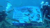Marmarisli dalgıçlar, 7 Eylül Dünya Duchenne Farkındalık Günü nedeniyle DMD kas hastalığına dikkat çekmek için deniz altında pankart açtı. Dalgıçlar, sosyal mesajında DMD hastalığıyla mücadele için tüm duyarlı vatandaşları destek olmaya davet etti. Muğla’nın Marmaris ilçesinde 7 Eylül Dünya Duchenne […]