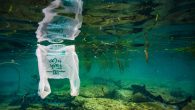 Trillions of barely visible pieces of plastic are floating in the world’s oceans, from surface waters to the deep seas. These particles, known as microplastics, typically form when larger plastic objects such as shopping bags and food containers break down. […]