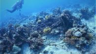 KOTA KINABALU: The Sabah government has been urged to seek help from federal authorities to tackle issues affecting its marine properties such as fish bombing. Sabah Wanita MCA chairman said the Parti Warisan Sabah-led state government should enlist the help […]