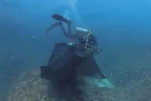 Dive instructor Jason Fondis cutting the fishing net from the