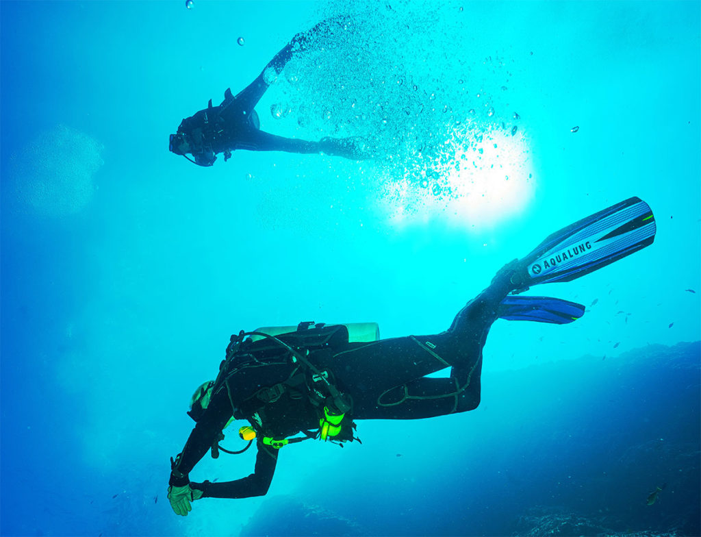 The Manufactured Demand Illusion – And Why Dive Centres Must Break the Brand Trap Most first-time divers are not researching agency governance structures, ISO