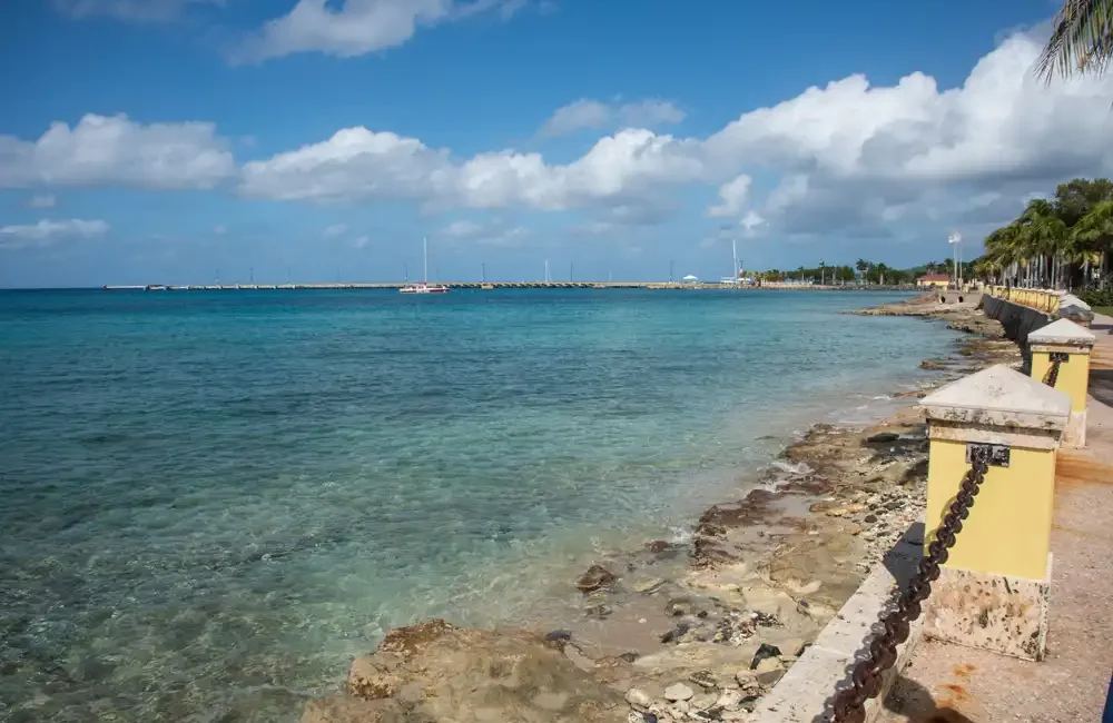 By Mark ‘Crowley’ Russell A 56-year-old woman has died after