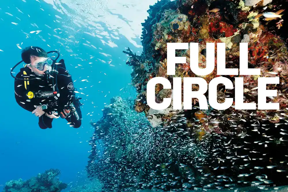 Full Circle – a return journey through 25 years of Sharm El Sheikh After a long absence from the water, DIVE’s Editor Mark