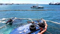 Ekvator Çevre, Su ve Ekolojik Dönüşüm Bakanlığı, Galapagos Adaları açıklarında batan Albatroz isimli akaryakıt gemisi için acil temizleme çalışmalarının sürdüğünü söyledi. Ekvator Çevre, Su ve Ekolojik Dönüşüm Bakanlığı’ndan yapılan açıklamaya göre, Galapagos Adaları açıklarında dizel yakıt yüklü Albatroz isimli gemi, […]