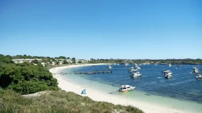 A freediver has died after being bitten by a great