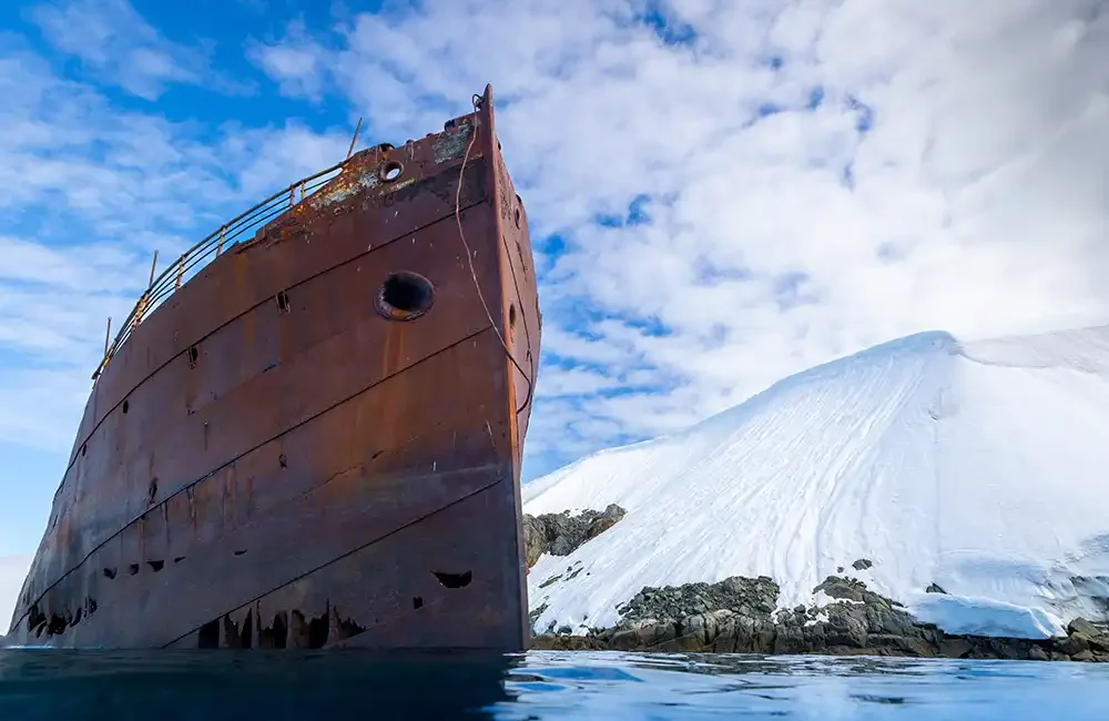Underwater Photographer and marine biologist Bella Zandoná shares her experience