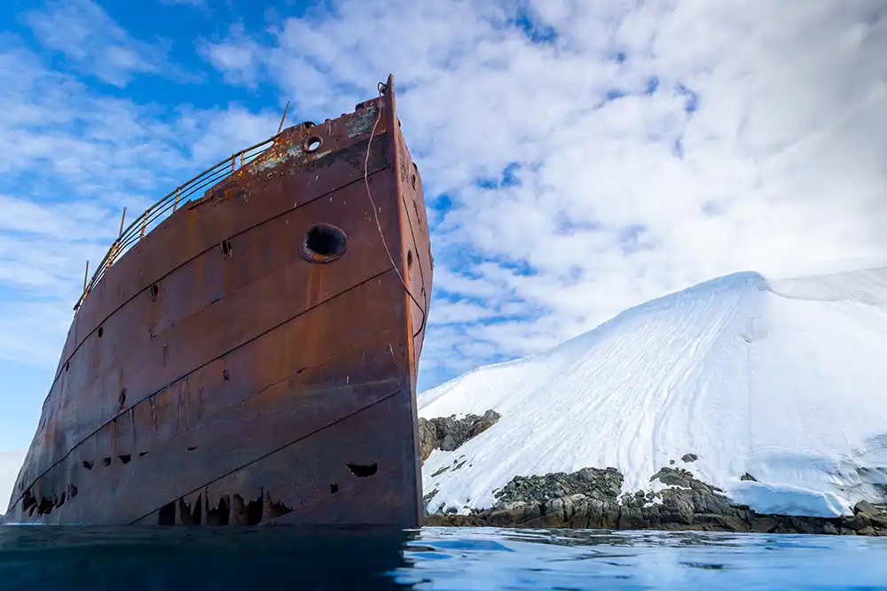 Underwater Photographer and marine biologist Bella Zandoná shares her experience