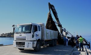 Kuşadası Körfezi’nden yaklaşık 40 metre uzunluğunda ve 5 ton ağırlığında