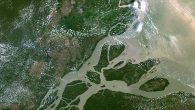 by Richard Kemeny The mouth of the Amazon River, which yawns out of Brazil’s rainforested north, must be a stressful place to call home. Each year, six trillion cubic meters of water—roughly enough to fill the Grand Canyon one and […]