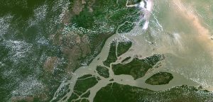 by Richard Kemeny The mouth of the Amazon River, which
