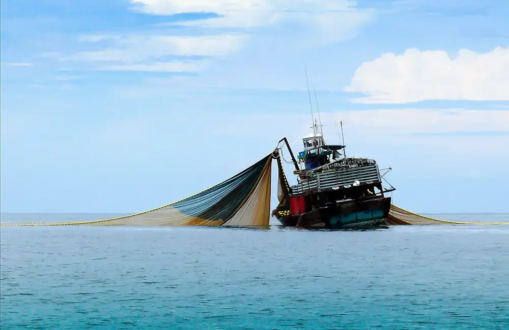 By DIVE Staff Indonesia, Fiji, The Bahamas, and Malta are