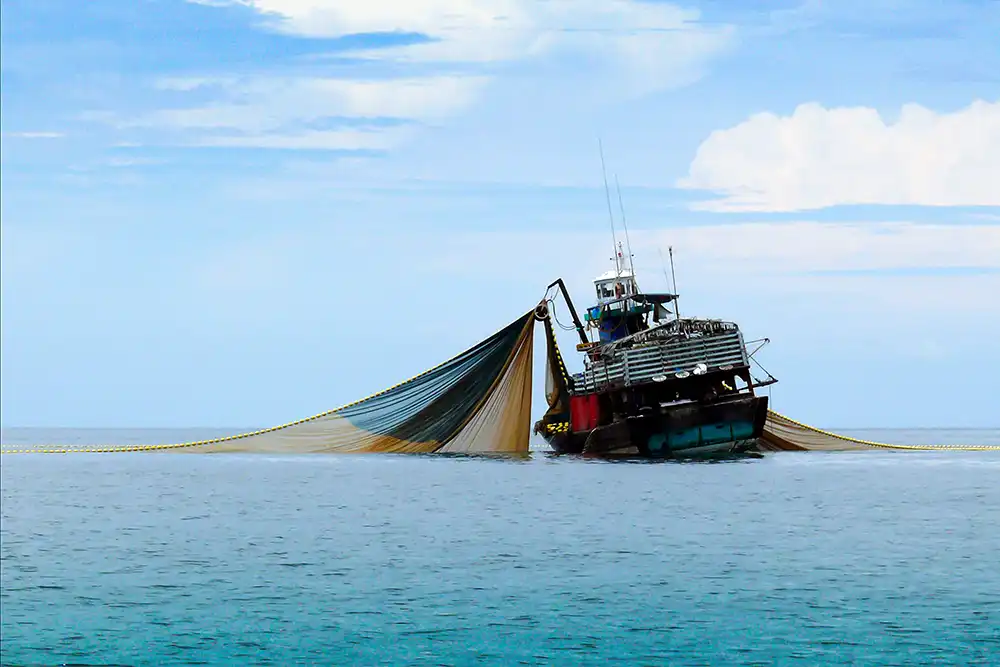 By DIVE Staff Indonesia, Fiji, The Bahamas, and Malta are