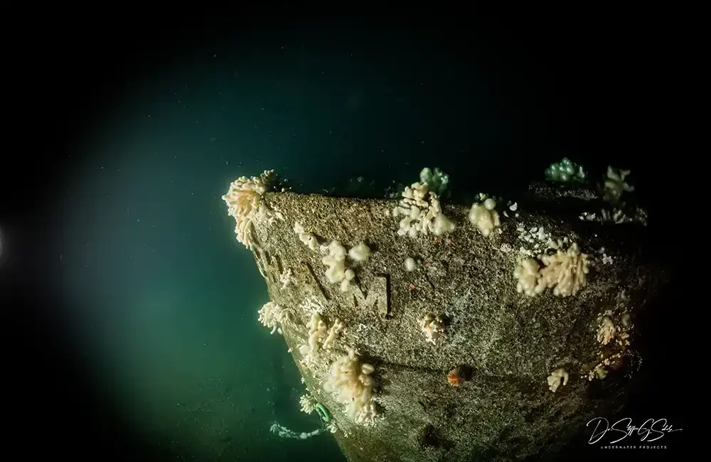 An international team of technical divers has located the wreck