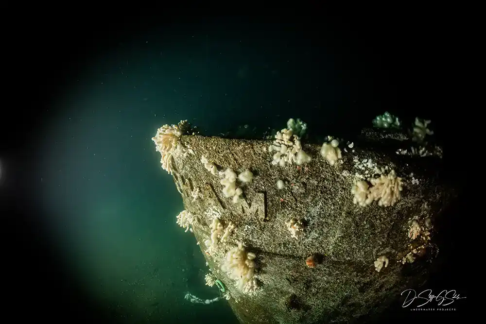 An international team of technical divers has located the wreck