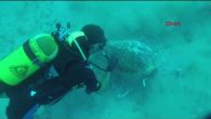 Antalya’nın Demre ilçesi Kekova bölgesinde su altı kurtarma kazısı yapıldı. Kazıda su altındaki birçok eser gün yüzüne çıkarıldı. Kazının bilimsel danışmanı Doç. Dr. Erdoğan Aslan, “Elde edilen veriler bize bölgenin M.Ö. 7’nci yüzyıldan başlayarak M.S. 13’üncü yüzyıla kadar kesintisiz bir […]
