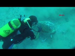 Antalya’nın Demre ilçesi Kekova bölgesinde su altı kurtarma kazısı yapıldı.