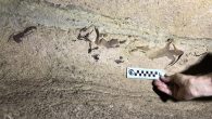 (CNN) — Kentucky’s Mammoth Cave National Park is a long way from the ocean, but newly discovered fossils suggest the area was once teeming with sharks. Scientists have identified the remains of 15 to 20 different species of sharks deep […]
