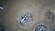 The 60 million icefish nests spread across more than 100 miles. By Melissa Smith Sixty million icefish nests spread across more than 90 square miles was recently discovered over 1,600 feet below the ice in Antarctica’s Weddell Sea, the largest […]