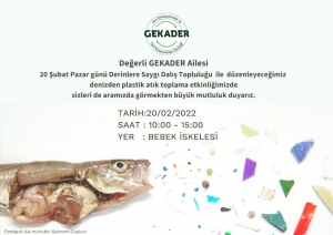 Bu gönderiyi Instagram'da gör Derinlere Saygı Dalışı (@derinleresaygidalisi)'in paylaştığı bir