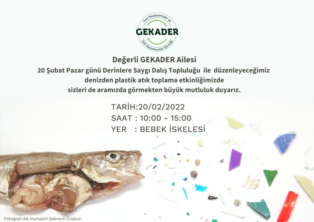 Bu gönderiyi Instagram'da gör Derinlere Saygı Dalışı (@derinleresaygidalisi)'in paylaştığı bir