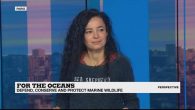 Since 1977, the organisation Sea Shepherd has been tackling Japanese whalers, taking on Mexican drug cartels, and protecting our global flock of maritime creatures. In today’s Perspective, we spoke to the president of the organisation’s French branch about their strategy […]