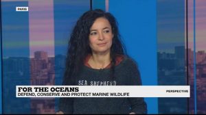 Since 1977, the organisation Sea Shepherd has been tackling Japanese