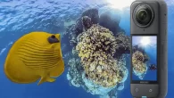 (Photo: Jenny Stock) Insta360’s X4 action camera is capable of filming 360° footage in 8K resolution. Award-winning underwater camerawoman Jenny Stock put one to the test Review by Jenny Stock In short, I love the Insta360 X4, primarily because it […]